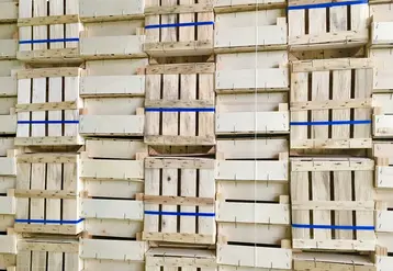 La production hebdomadaire des adhérents du Siel s'est établie entre 12 et 15 millions d'unités depuis le début de la crise du Covid-19. © SIEL