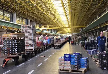 Pour le président Italmercati qui réuni les marché de gros italiens, « les marchés de gros d’Europe ont montré leur rôle fondamental dans le suivi essentiel de la distribution des produits frais pendant la crise sanitaire du Covid-19 ». © Italemrcati