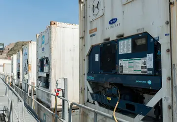 La croissance annuelle moyenne du transport reefer de fruits exotiques devrait être de plus de 6 % au cours des quatre prochaines années.  © Maersk