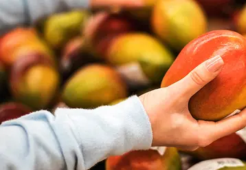 La fine pellicule, composée de sucre, de cellulose et d'huile est testée par l'enseigne allemande sur les mangues, avocats, pomelos et limes.  © Rewe