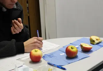 Les variétés sont dégustées au début de la commercialisation, quand les variétés sont à leur optimum qualitatif.