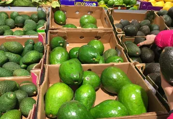 En Europe, les achats d'avocats continuent de progresser. 