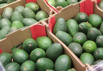 avocat Rungis