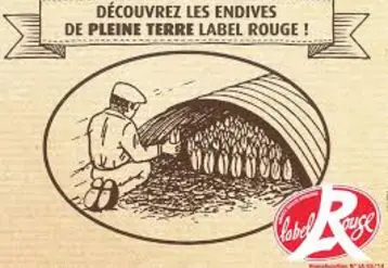 Un des trois groupes de travail en vue du renouvellement du Programme national de gestion des risques (PNGRAT) porte spécifiquement sur l’arboriculture.  © rfl