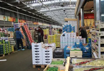 secteur fruits légumes Rungis