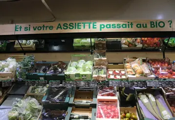 Vignette