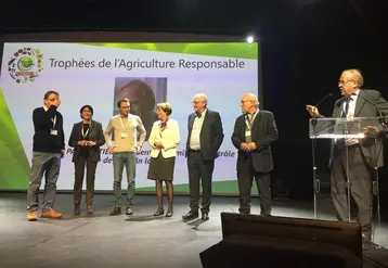 En Occitanie, le thym est principalement cultivé dans l’Hérault. © RFL