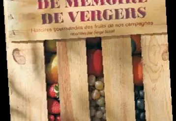 Vignette