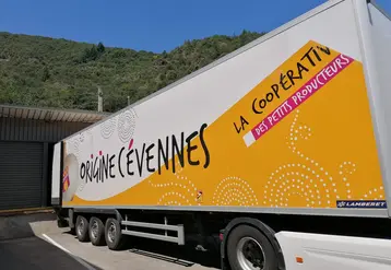 Origine Cévennes