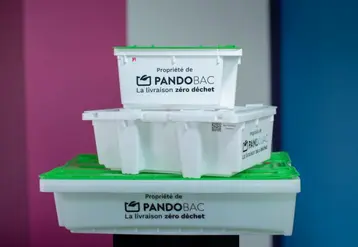 pandobac