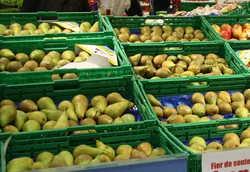 rayon poire