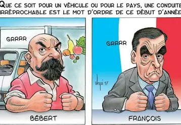Vignette
