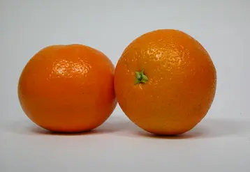 Orange Valencia Late Espagne - FLD