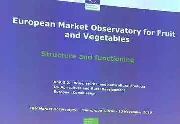 Les producteurs de kiwi français attendent une récolte légèrement supérieure à l’année passée, aux environs de 53 000 t.  © rfl