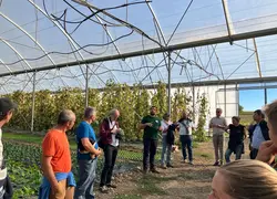 <em class="placeholder">Une journée collective maraîchage consacrée aux abris en Charente en octobre 2025</em>