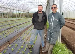 <em class="placeholder">Marco Altamirano (à droite) et Romain Sochard, maraîchers en Vendée.</em>