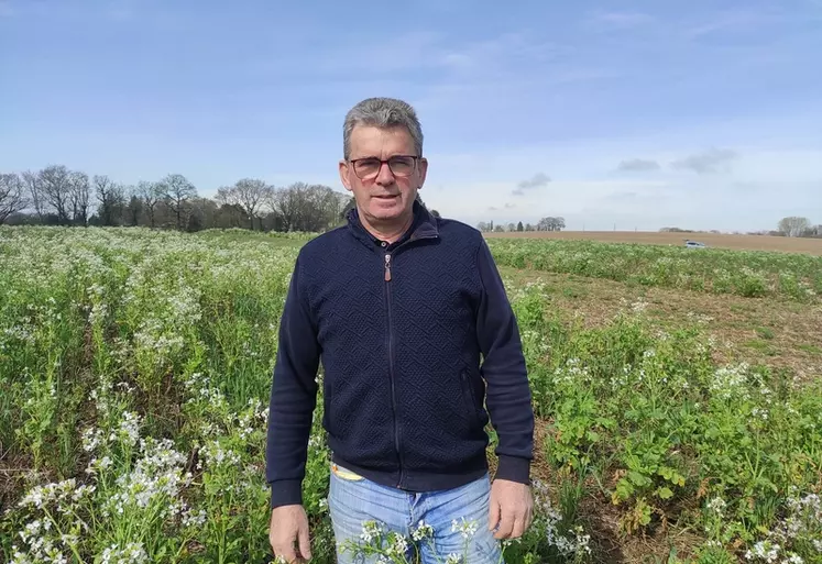 Philippe Dolo, responsable développement technique à Bretagne Plants,"Le semis de blé tendre entre les buttes de pomme de terre après défanage donne des résultats assez ...