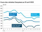 prix du blé tendre rendu Rouen, de l'orge fourragère rendu Rouen et du maïs rendu Bordeaux en juillet août 2024