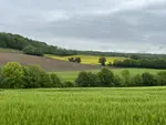 Paysage en mai, diversité culturale, bocage, haies, colza en fleurs, orge.