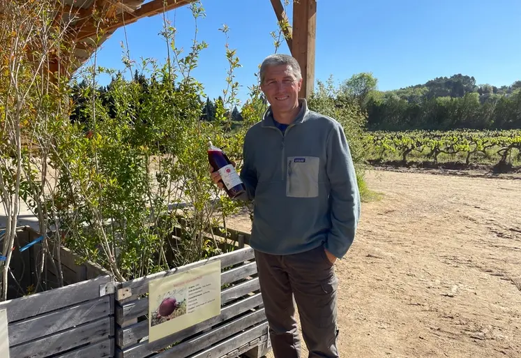 <em class="placeholder">Thomas Saleilles produit désormais, en plus du raisin, du jus et des plants de grenade.</em>