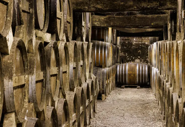 <em class="placeholder">Chais de vieillissement - Cognac Paul Giraud - Bouteville </em>