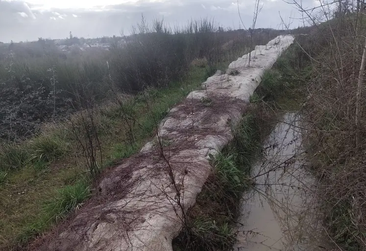 <em class="placeholder">parcelle en hydrologie régénérative</em>